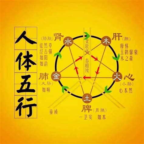 火木土金水|五行生克（哲学理论）